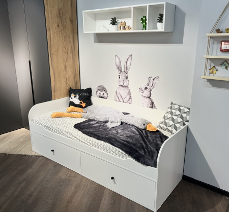 Шкаф 2-х дверный коллекции Брайт (внутри штанга + ящик) от Династия Kids